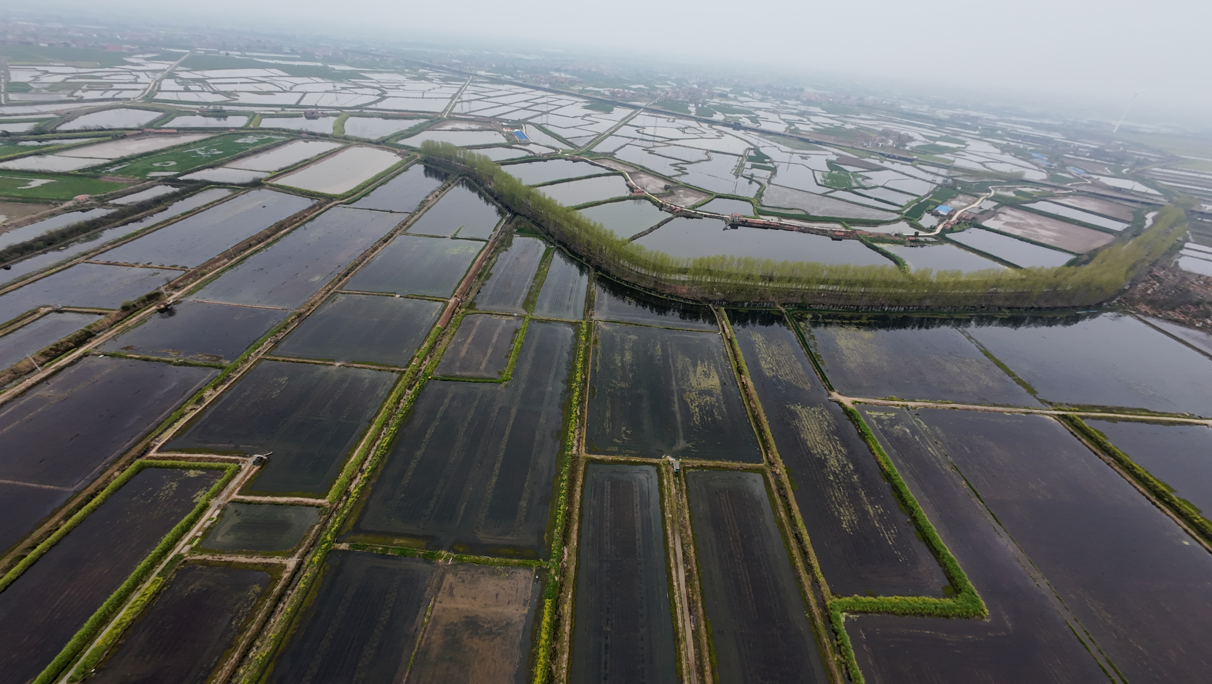 首页_核心子公司图文